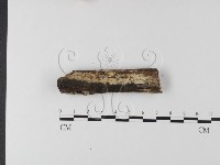 登錄號:F0004126藏品圖，第1張