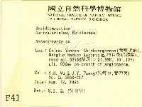 刺皮菌屬藏品圖，第2張