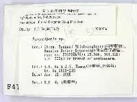 登錄號:F0004129藏品圖，第2張
