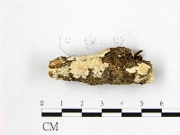登錄號:F0004129藏品圖，第1張
