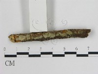 登錄號:F0004130藏品圖，第1張