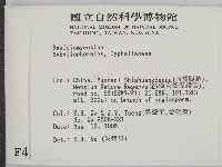 登錄號:F0004131藏品圖，第2張