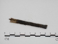 登錄號:F0004131藏品圖，第3張