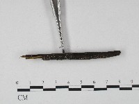 登錄號:F0004131藏品圖，第4張