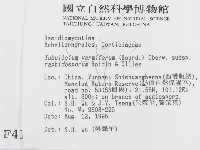 登錄號:F0004134藏品圖，第2張