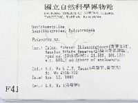 多孔菌屬藏品圖，第2張