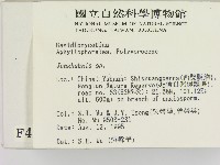 容氏菌屬藏品圖，第2張