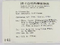 登錄號:F0004141藏品圖，第2張