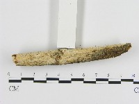 登錄號:F0004141藏品圖，第3張