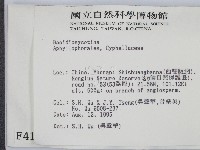 登錄號:F0004144藏品圖，第2張