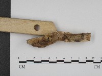 登錄號:F0004145藏品圖，第3張