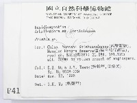 射脈菌屬藏品圖，第2張