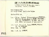 木耳屬藏品圖，第2張