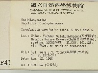 登錄號:F0004148藏品圖，第2張