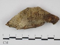 登錄號:F0004148藏品圖，第1張