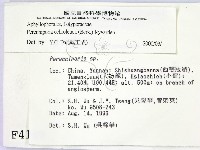 登錄號:F0004149藏品圖，第2張