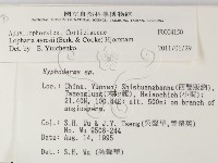 登錄號:F0004150藏品圖，第2張