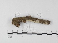 登錄號:F0004150藏品圖，第1張