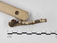 登錄號:F0004150藏品圖，第3張