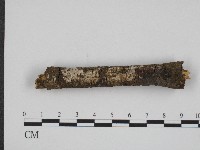 登錄號:F0004151藏品圖，第1張