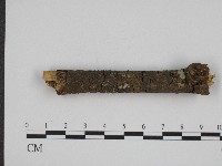 登錄號:F0004151藏品圖，第3張