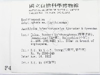 登錄號:F0004152藏品圖，第2張