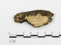登錄號:F0004152藏品圖，第1張