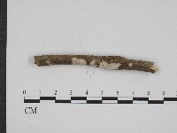 登錄號:F0004154藏品圖，第1張