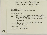 刺革菌屬藏品圖，第2張