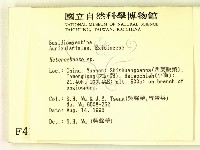 刺皮菌屬藏品圖，第2張