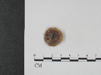 登錄號:F0004162藏品圖，第1張