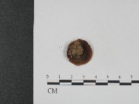 登錄號:F0004162藏品圖，第3張