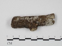 登錄號:F0004163藏品圖，第1張