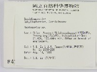 登錄號:F0004164藏品圖，第2張