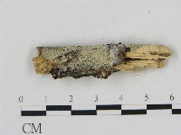 登錄號:F0004164藏品圖，第1張