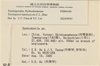 登錄號:F0004164藏品圖，第3張