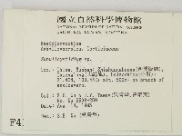 登錄號:F0004165藏品圖，第2張