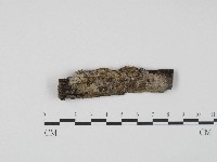 登錄號:F0004165藏品圖，第1張