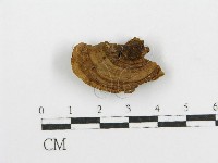 登錄號:F0004166藏品圖，第4張