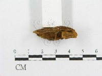 登錄號:F0004166藏品圖，第5張