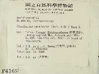 登錄號:F0004169藏品圖，第2張