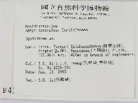 絲皮菌屬藏品圖，第2張