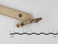 登錄號:F0004173藏品圖，第3張