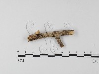 登錄號:F0004173藏品圖，第4張