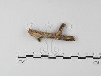 登錄號:F0004173藏品圖，第1張