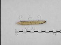 登錄號:F0004174藏品圖，第3張