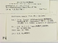 登錄號:F0004175藏品圖，第2張