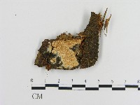 登錄號:F0004175藏品圖，第1張