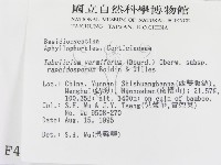 登錄號:F0004176藏品圖，第2張