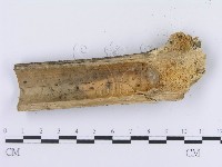 登錄號:F0004176藏品圖，第3張